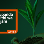 Planting Green Legacy QNET EcoMatcher SW